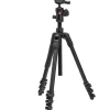 Befree Advanced AS Aluminum Travel Tripod with 494 Center Ball Head